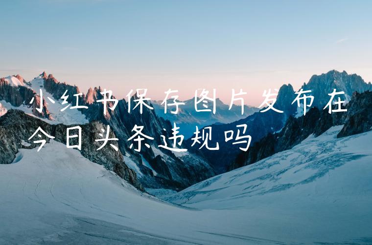 小红书保存图片发布在今日头条违规吗 小红书保存图片发布在今日头条违规吗
