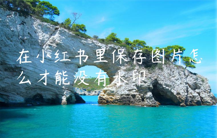 在小红书里保存图片怎么才能没有水印 在小红书里保存图片怎么才能没有水印