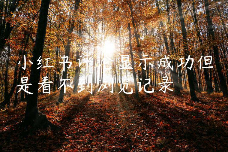 小红书评论显示成功但是看不到浏览记录