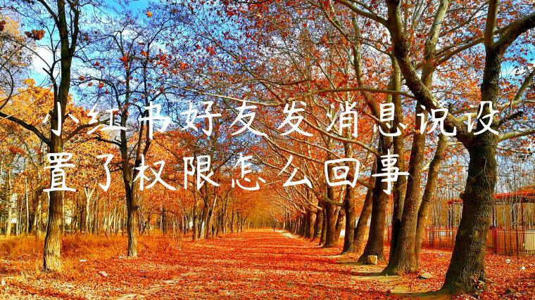 小红书好友发消息说设置了权限怎么回事