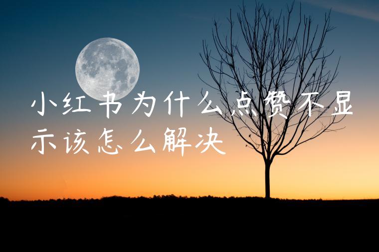 小红书为什么点赞不显示该怎么解决 小红书为什么点赞不显示该怎么解决
