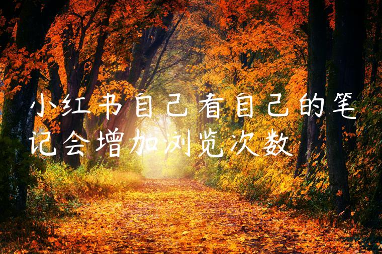 小红书自己看自己的笔记会增加浏览次数 小红书自己看自己的笔记会增加浏览次数