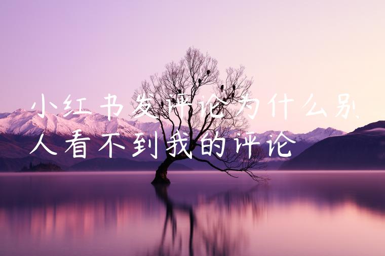 小红书发评论为什么别人看不到我的评论 小红书发评论为什么别人看不到我的评论