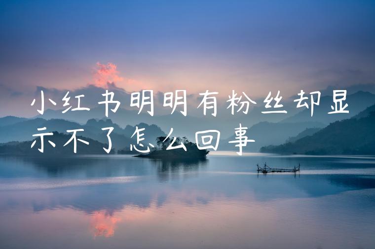 小红书明明有粉丝却显示不了怎么回事