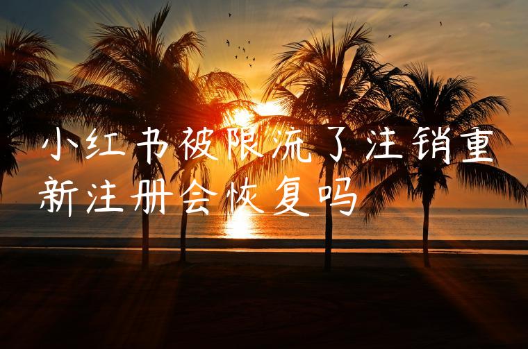 小红书被限流了注销重新注册会恢复吗 小红书被限流了注销重新注册会恢复吗