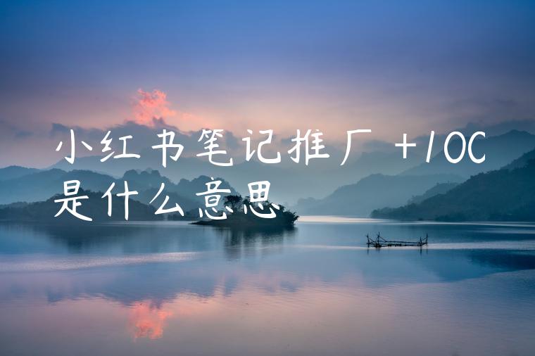 小红书笔记推广劵+100是什么意思