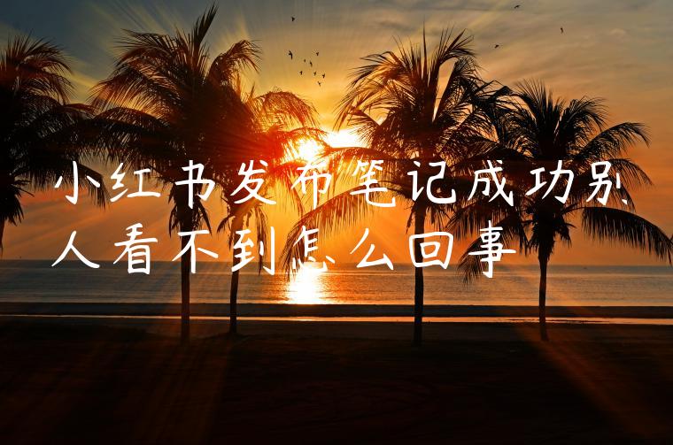 小红书发布笔记成功别人看不到怎么回事 小红书发布笔记成功别人看不到怎么回事