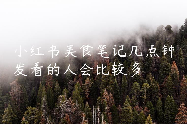 小红书美食笔记几点钟发看的人会比较多 小红书美食笔记几点钟发看的人会比较多