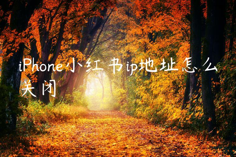 iPhone小红书ip地址怎么关闭
