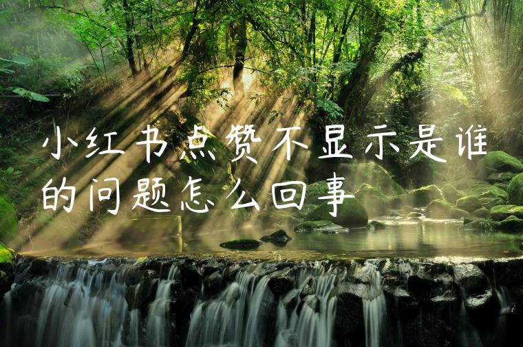 小红书点赞不显示是谁的问题怎么回事