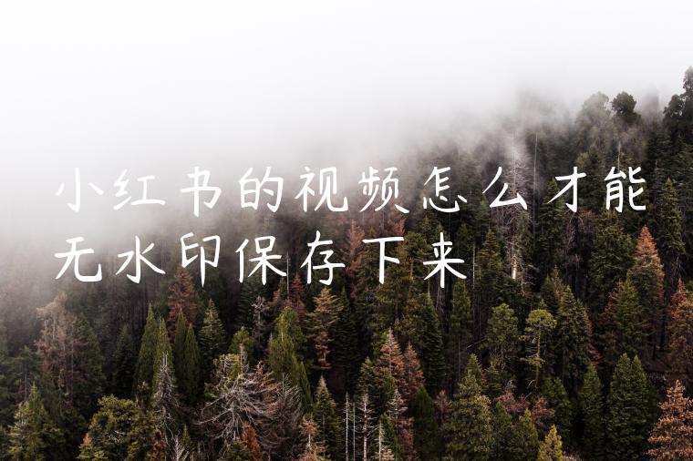 小红书的视频怎么才能无水印保存下来 小红书的视频怎么才能无水印保存下来