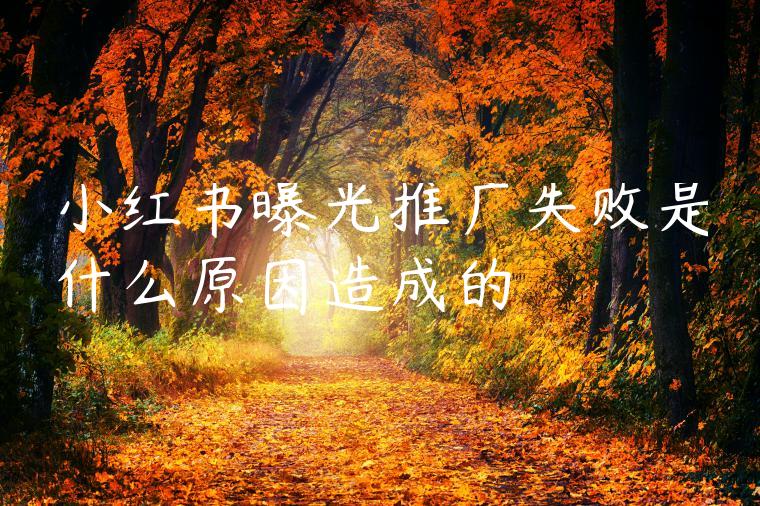 小红书曝光推广失败是什么原因造成的 小红书曝光推广失败是什么原因造成的
