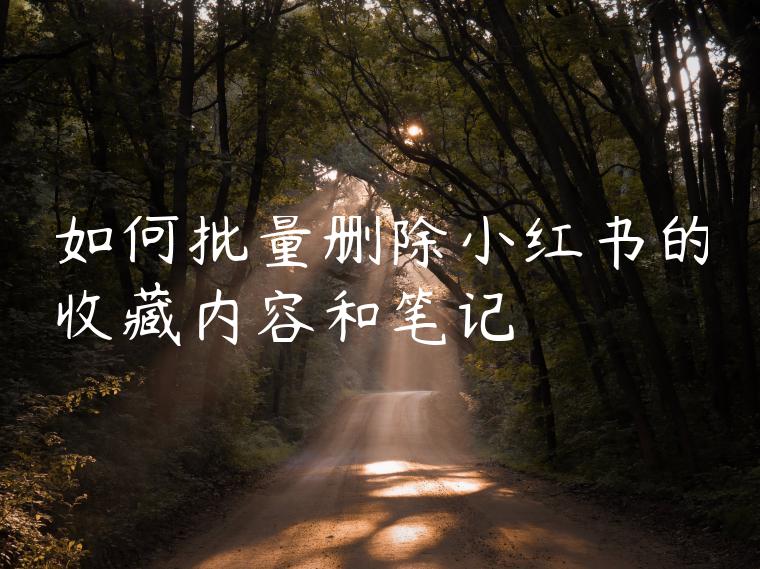 如何批量删除小红书的收藏内容和笔记