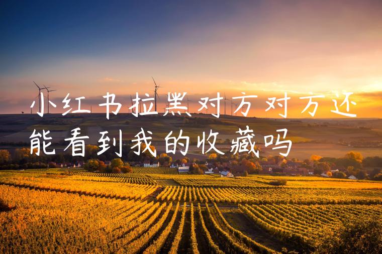 小红书拉黑对方对方还能看到我的收藏吗