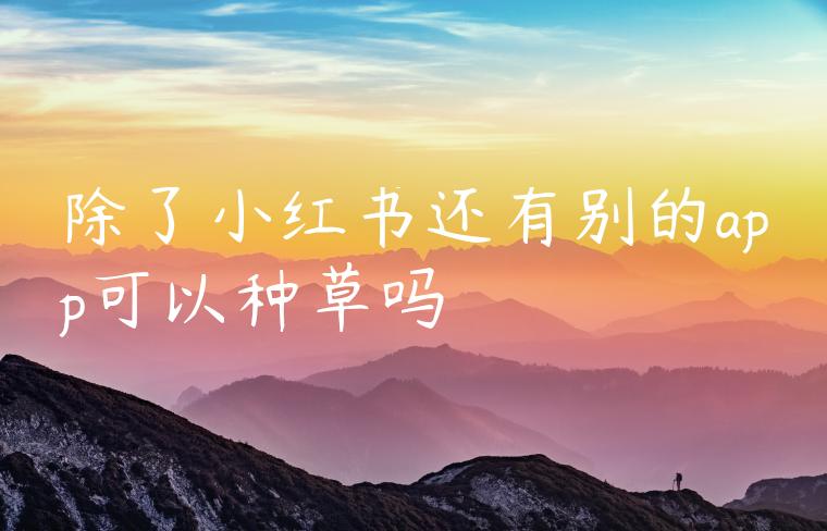 除了小红书还有别的app可以种草吗