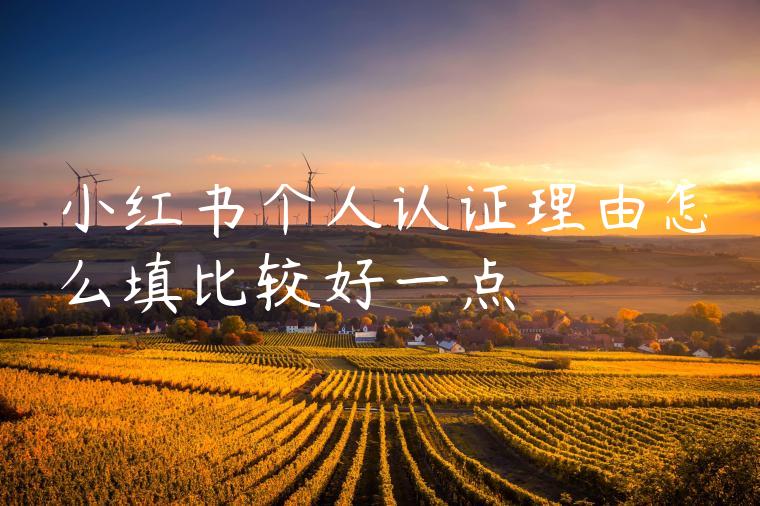小红书个人认证理由怎么填比较好一点