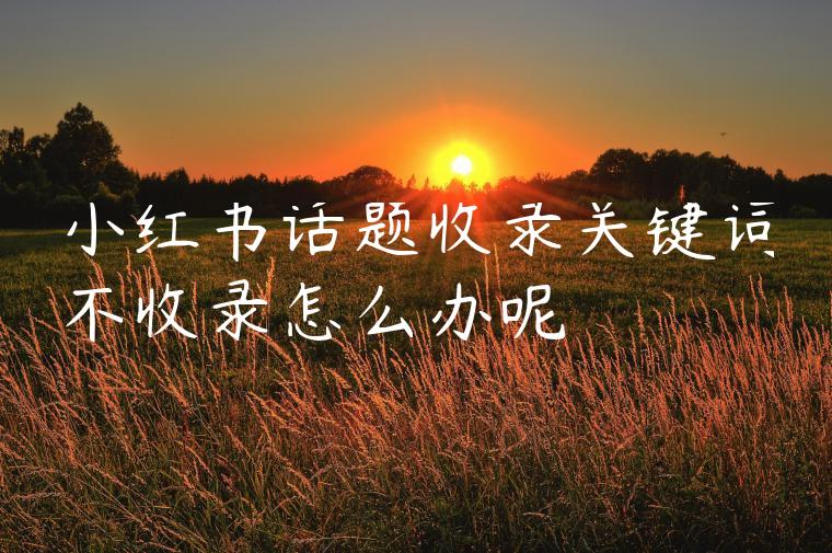 小红书话题收录关键词不收录怎么办呢