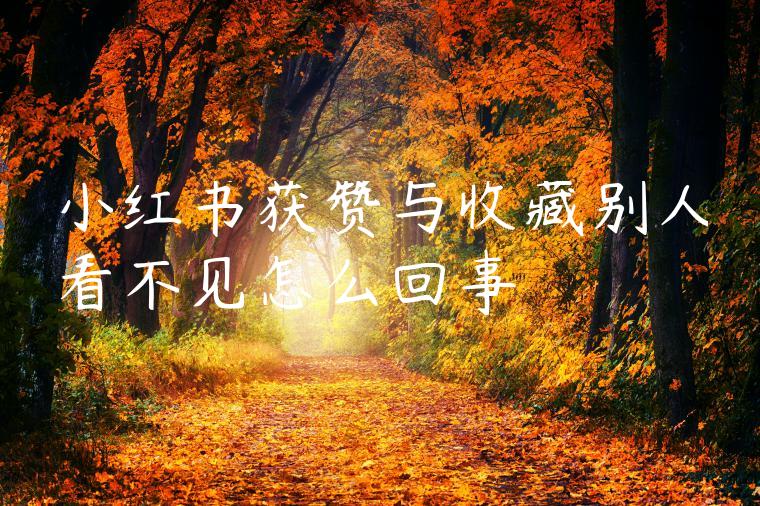 小红书获赞与收藏别人看不见怎么回事