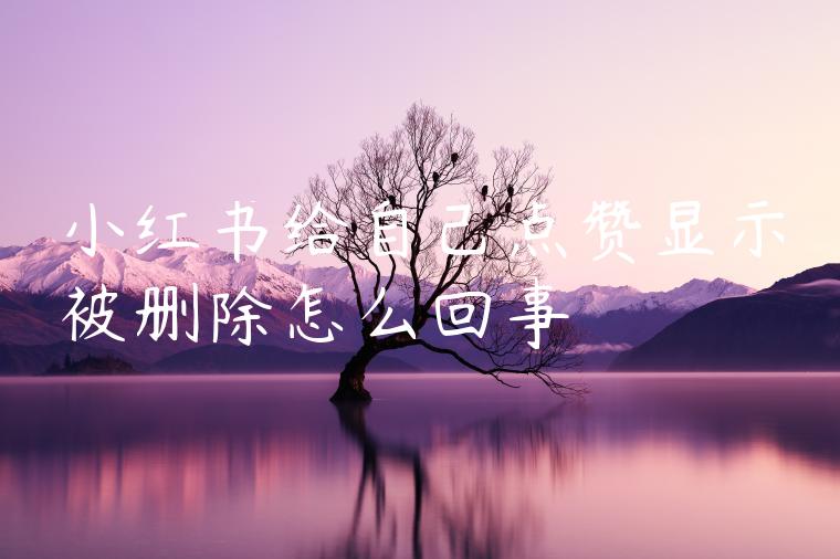 小红书给自己点赞显示被删除怎么回事 小红书给自己点赞显示被删除怎么回事