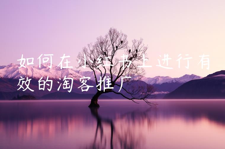 如何在小红书上进行有效的淘客推广 如何在小红书上进行有效的淘客推广