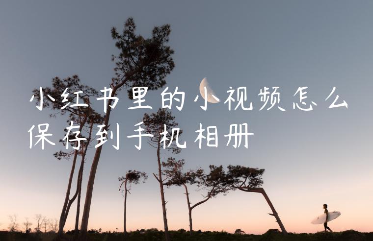 小红书里的小视频怎么保存到手机相册 小红书里的小视频怎么保存到手机相册