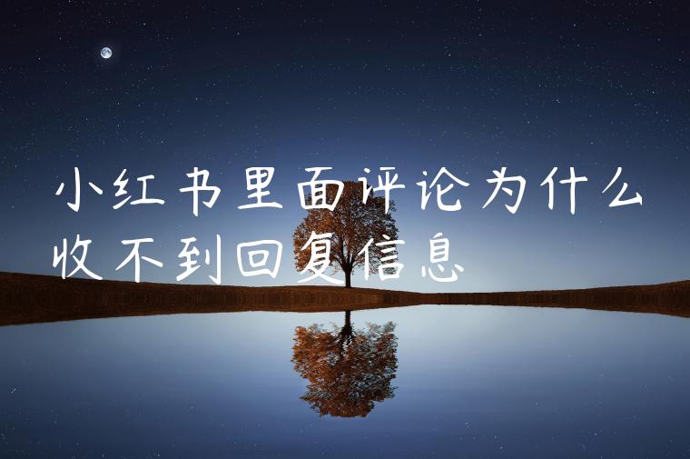 小红书里面评论为什么收不到回复信息 小红书里面评论为什么收不到回复信息