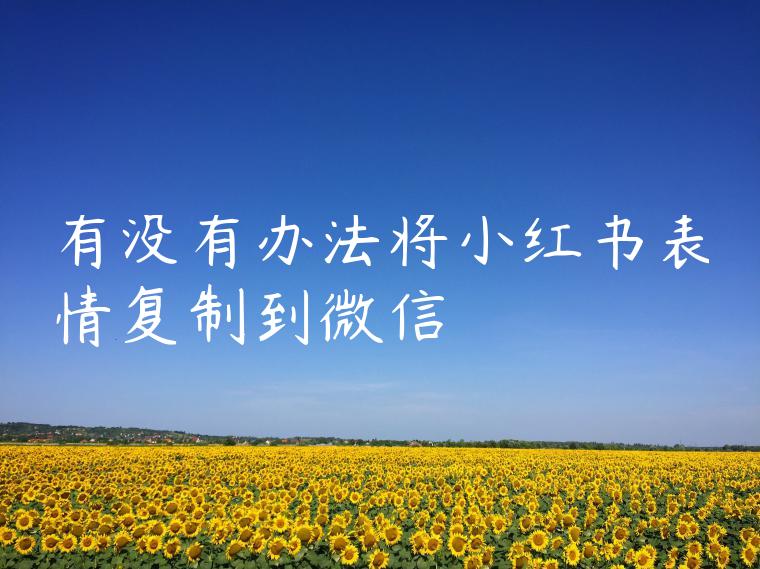 有没有办法将小红书表情复制到微信 有没有办法将小红书表情复制到微信