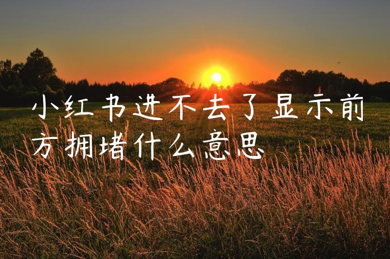 小红书进不去了显示前方拥堵什么意思