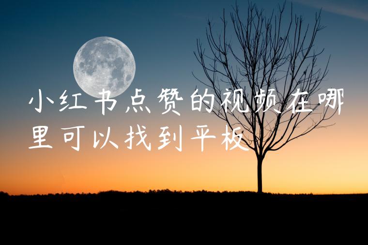 小红书点赞的视频在哪里可以找到平板