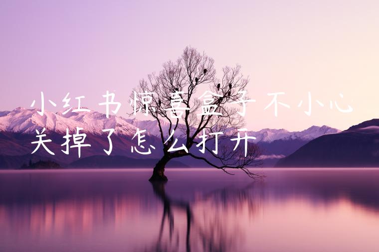 小红书惊喜盒子不小心关掉了怎么打开