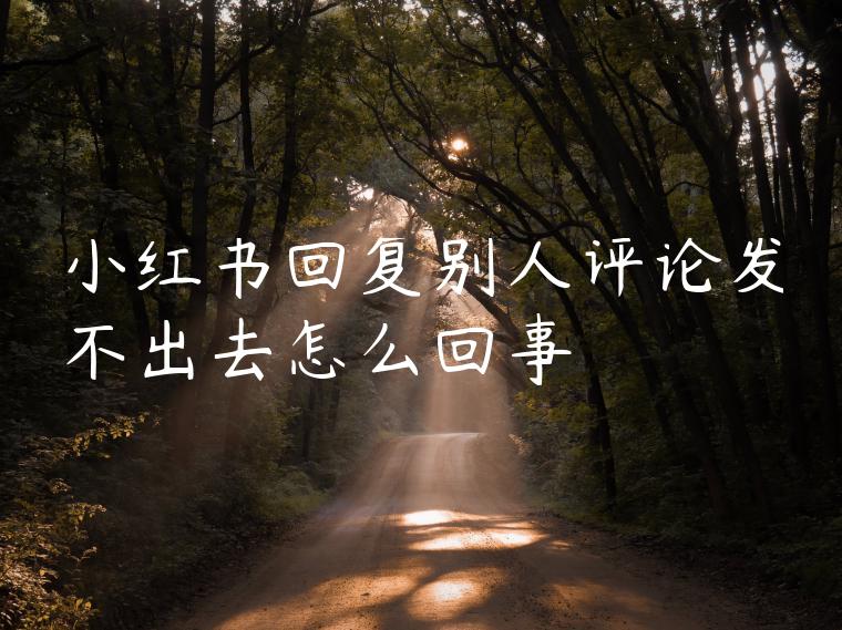 小红书回复别人评论发不出去怎么回事 小红书回复别人评论发不出去怎么回事