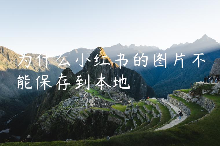为什么小红书的图片不能保存到本地