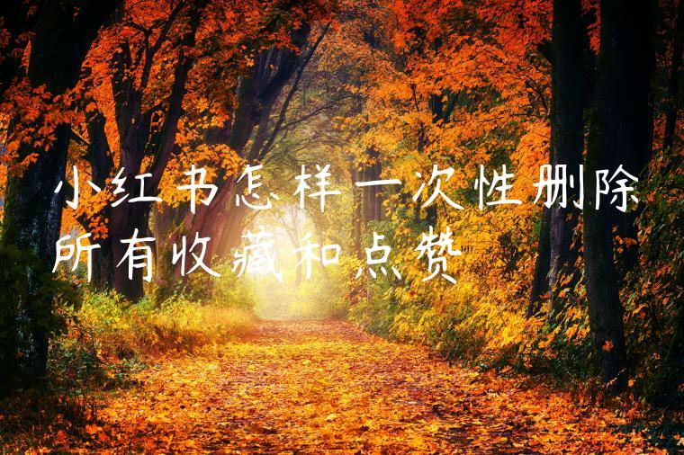 小红书怎样一次性删除所有收藏和点赞