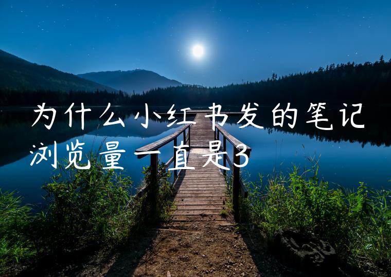 为什么小红书发的笔记浏览量一直是3