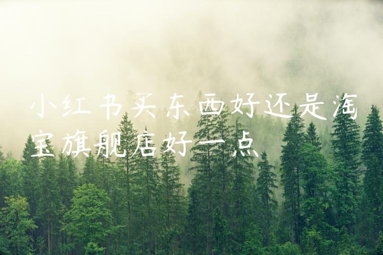 小红书买东西好还是淘宝旗舰店好一点 小红书买东西好还是淘宝旗舰店好一点