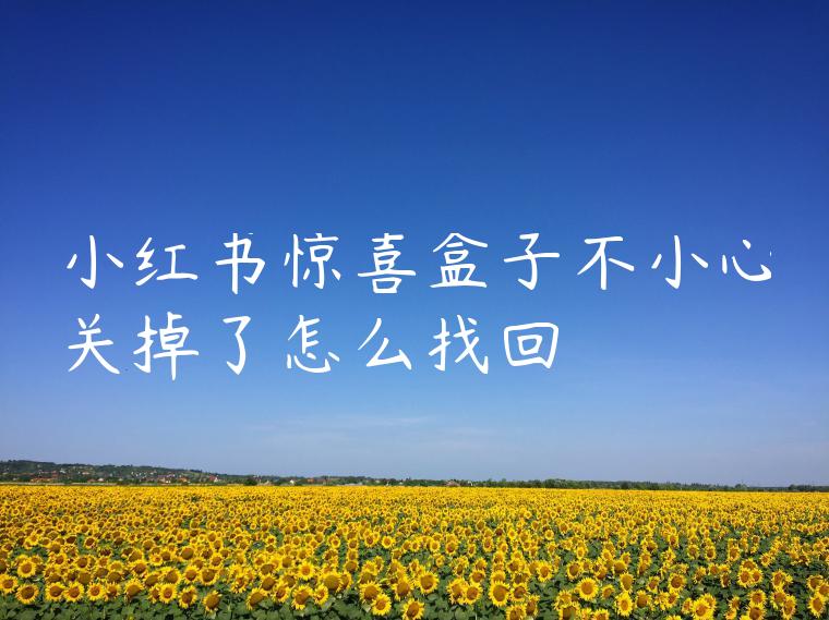 小红书惊喜盒子不小心关掉了怎么找回 小红书惊喜盒子不小心关掉了怎么找回