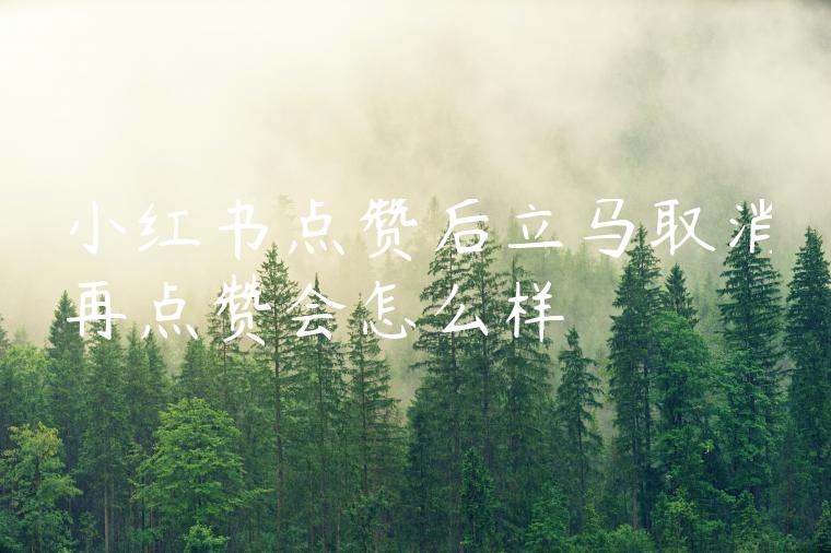 小红书点赞后立马取消再点赞会怎么样 小红书点赞后立马取消再点赞会怎么样