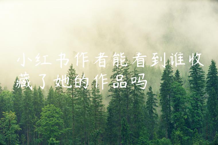 小红书作者能看到谁收藏了她的作品吗