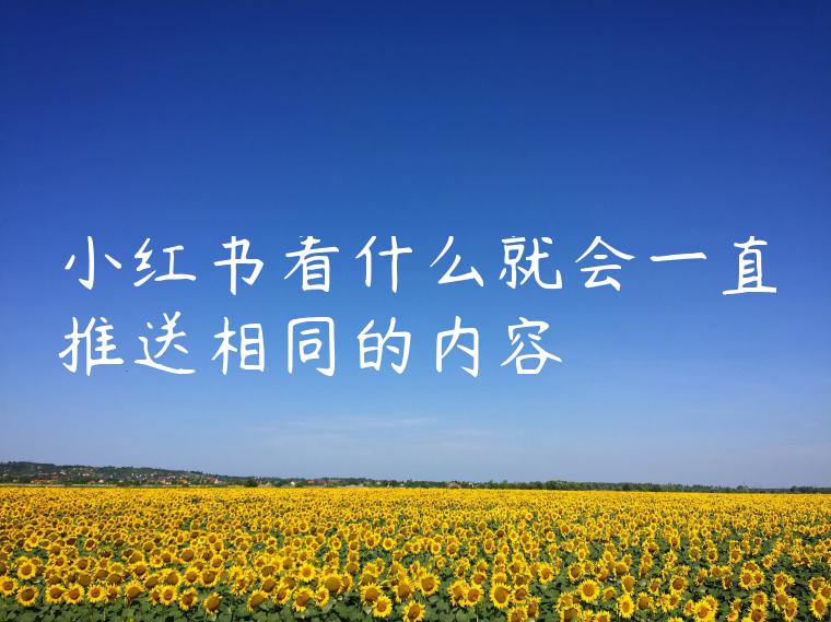 小红书看什么就会一直推送相同的内容 小红书看什么就会一直推送相同的内容