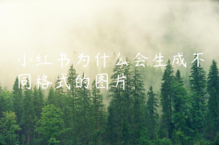 小红书为什么会生成不同格式的图片