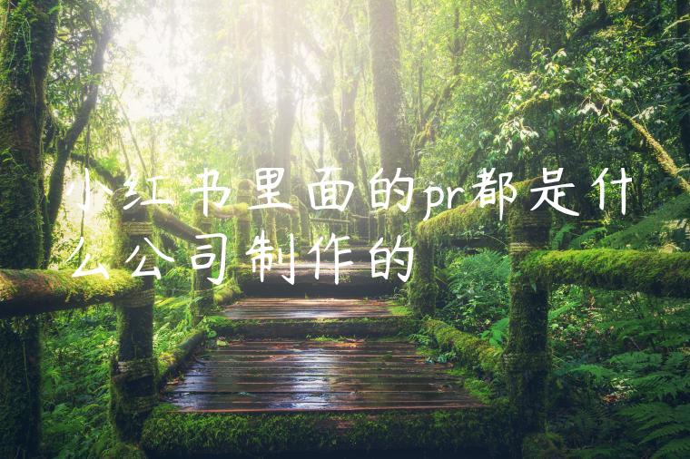 小红书里面的pr都是什么公司制作的