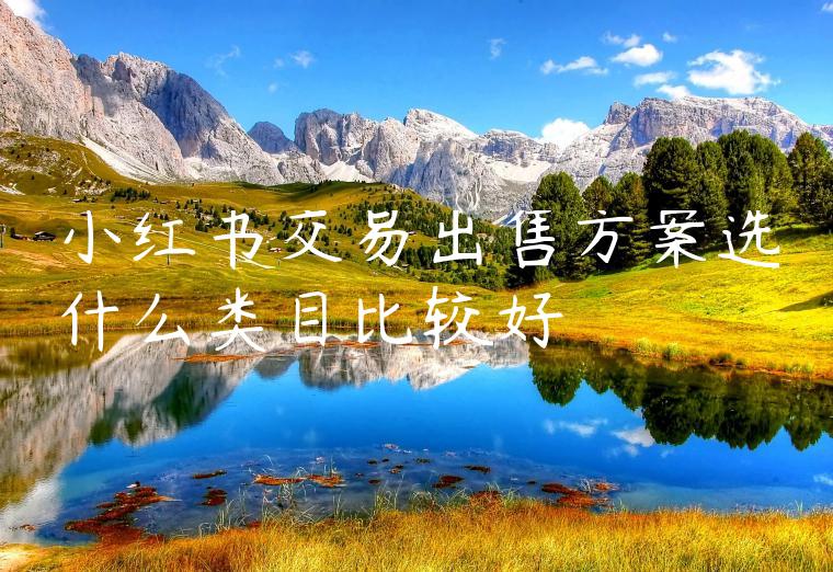 小红书交易出售方案选什么类目比较好