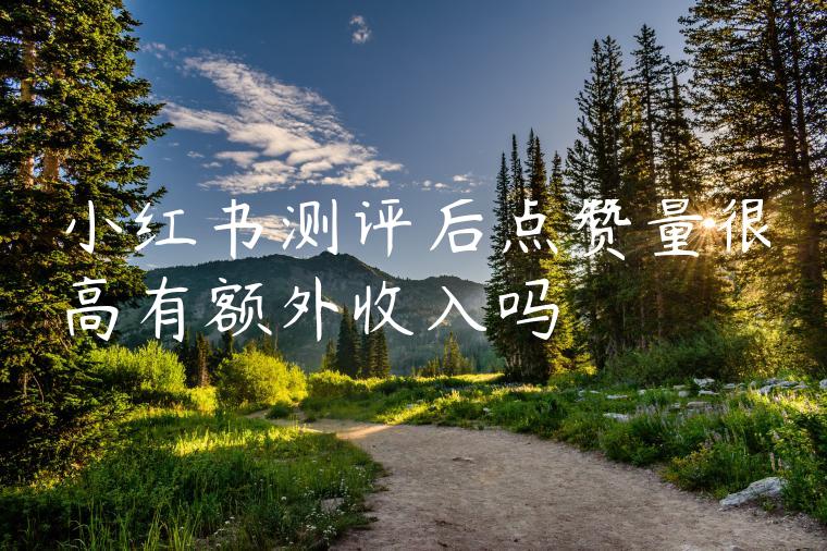 小红书测评后点赞量很高有额外收入吗
