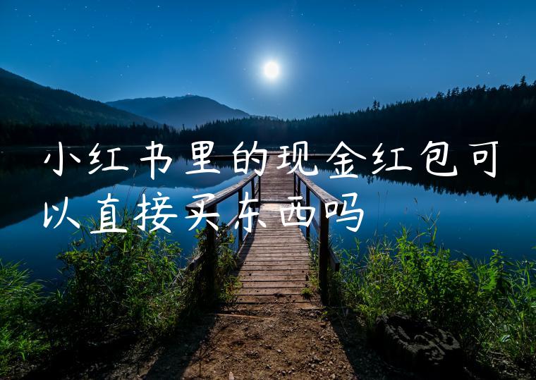 小红书里的现金红包可以直接买东西吗