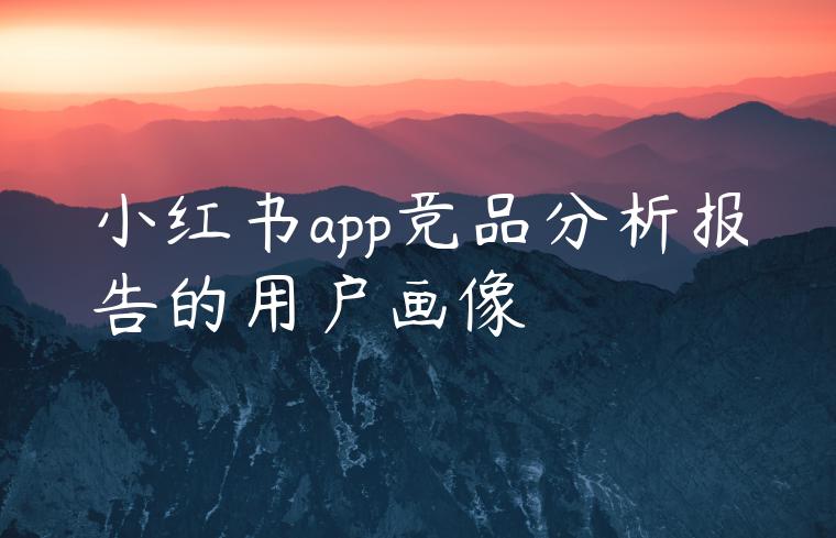 小红书app竞品分析报告的用户画像