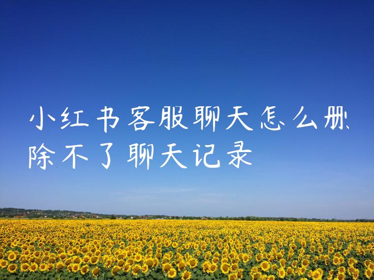 小红书客服聊天怎么删除不了聊天记录