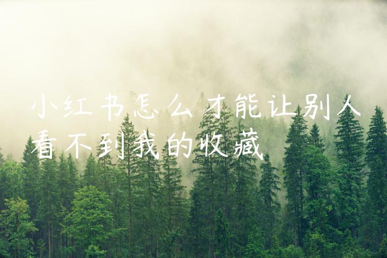 小红书怎么才能让别人看不到我的收藏 小红书怎么才能让别人看不到我的收藏