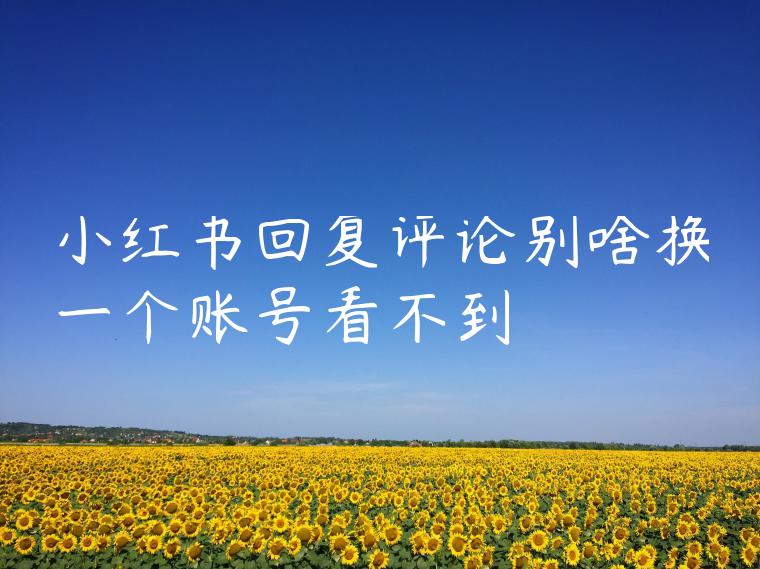 小红书回复评论别啥换一个账号看不到