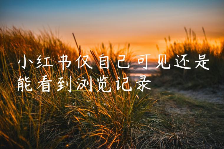 小红书仅自己可见还是能看到浏览记录 小红书仅自己可见还是能看到浏览记录