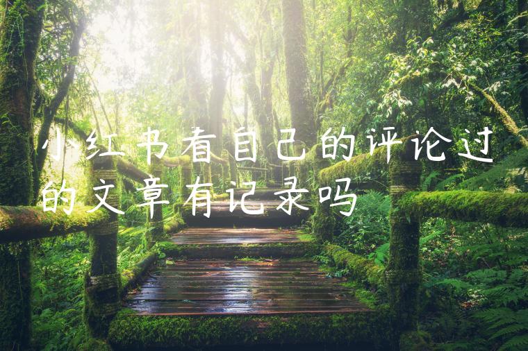 小红书看自己的评论过的文章有记录吗
